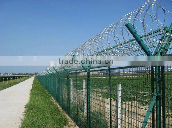 Security Wall Spikes