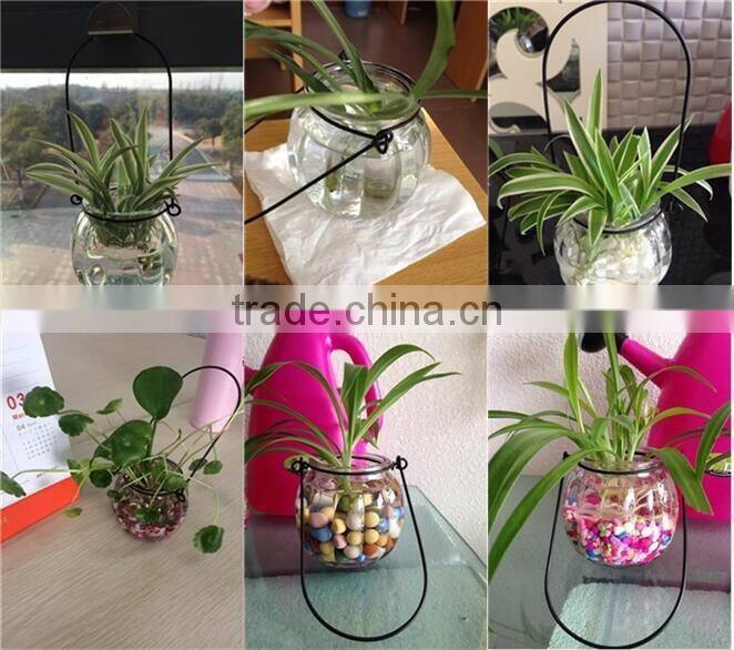 hang transparent glass vase/Other copper grass plants hang bottle hydroponic flower pot