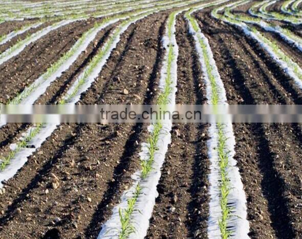 Plant Protector Sheet