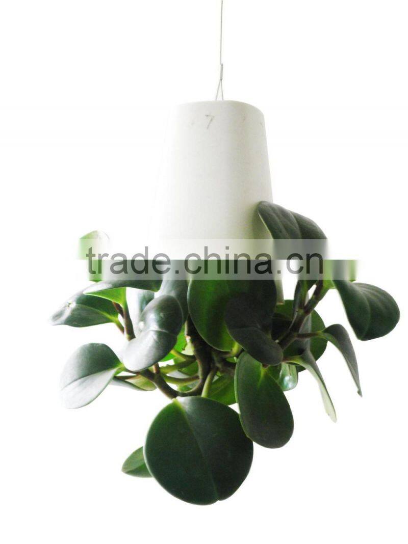 CT-457 Originality Fashion Sky Planter Hanging Plastic for Plants 9.5x9.5x13cm