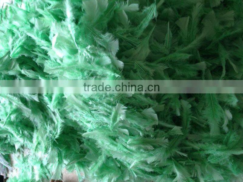 color natural turkey feather duster