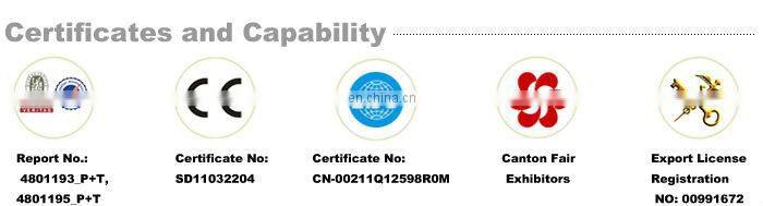 Robotic Sculpture for Outdoor Amusement Park