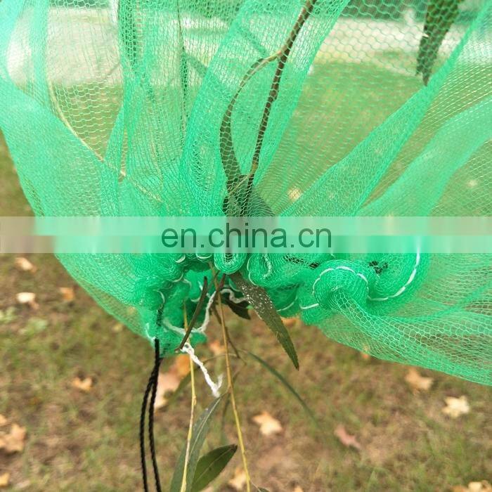 palm date tree green mesh net bag ,palm date mesh net, monofilament net bag for date palm