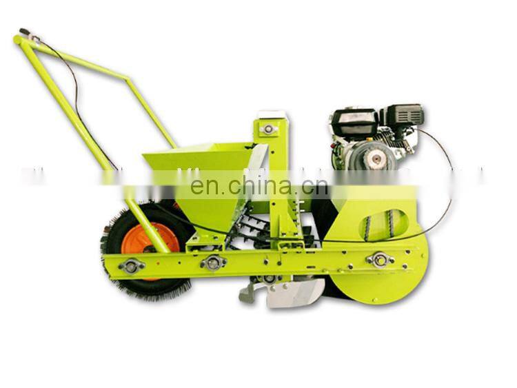 hand planter for garlic / Hand push garlic seeder / Garlic planting machine