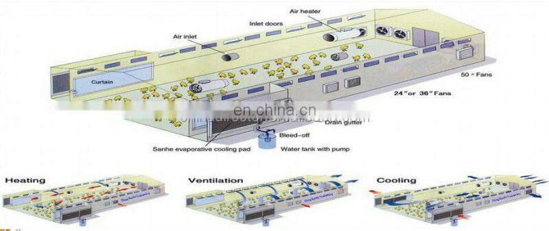 Prefabricated Light Steel Structure Build Chicken Poultry Farming House Construction