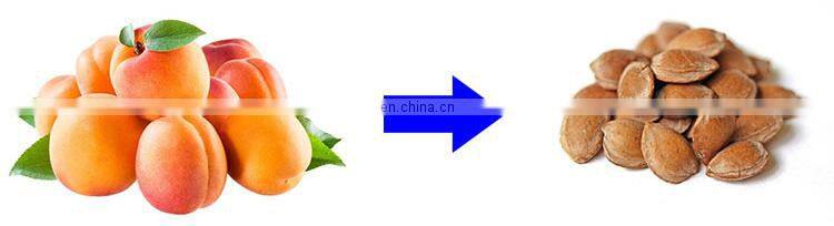 Apricot peeling machine almond separate machine Almond meat and Kernel separator machine