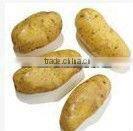 Garlic Peeling Machine/Fruit peeling machine