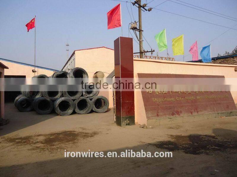 Polished wooden nail(factory)