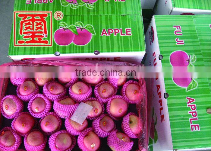To Indian Market China Fuji Apple