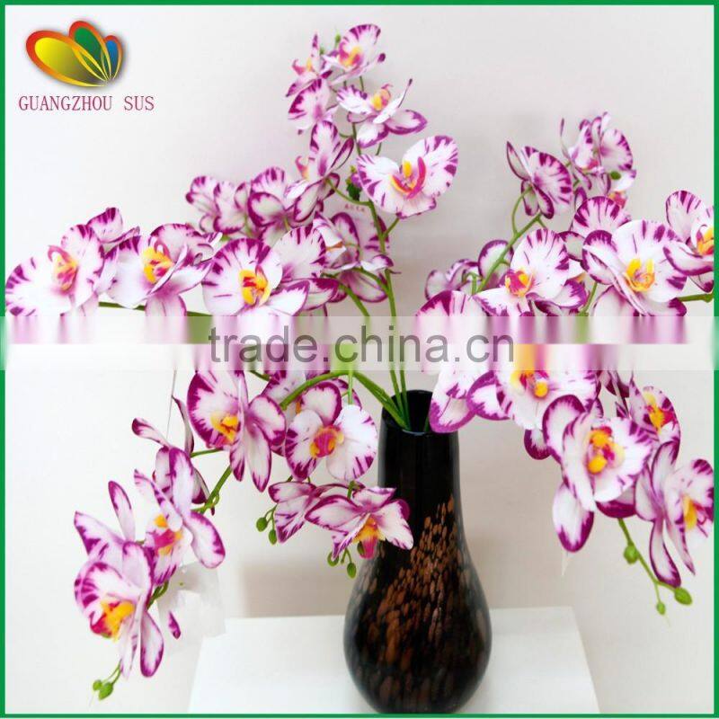 wholesale orchid flower for home decoration