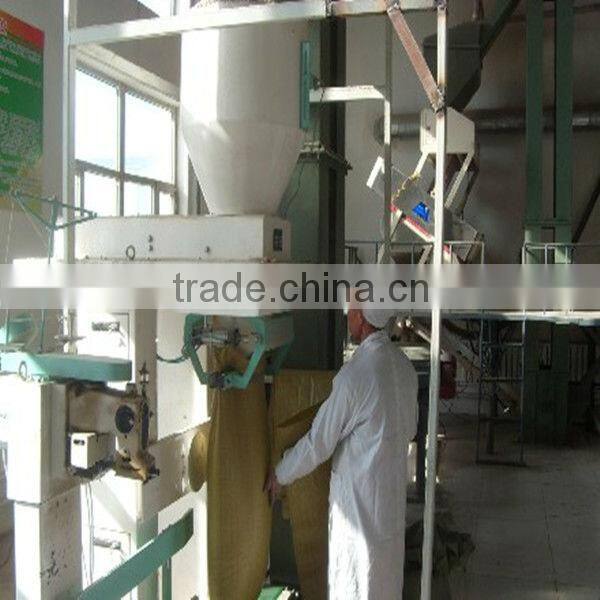 sunflower seeds long shape