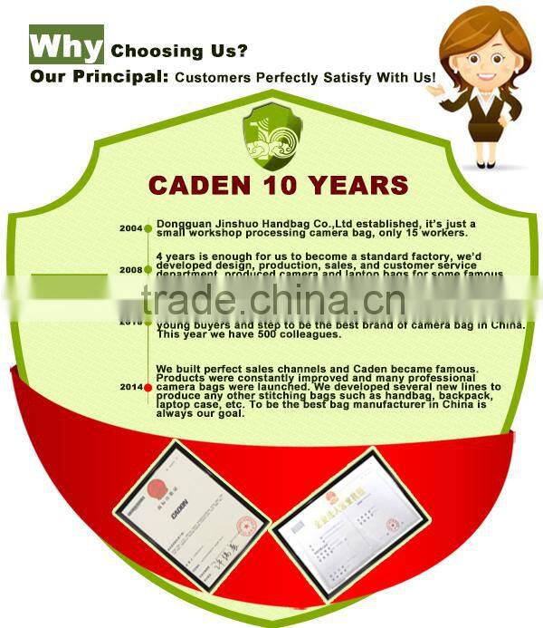 Hot sale new design Classic Waterproof Canvas Dslr Camera shoulder bag