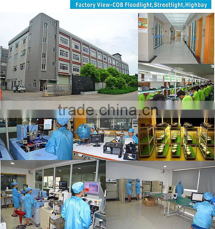 Factory Project use DC12V 24V 36V 40w Led Streetlight 12w 24w 30w 40w with CE