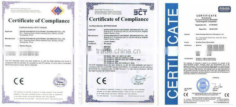 36V 10Ah MTB Electric bike with brushless motor