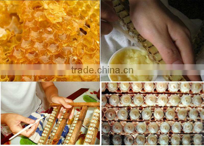 High proteion improve sleep organic bulk royal Jelly capsules