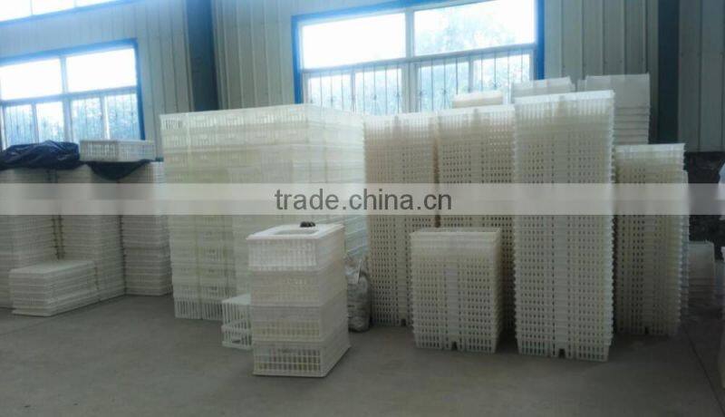 Transport Cages for Chicken