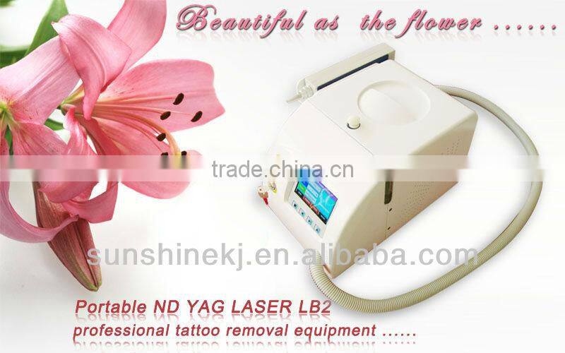 2014 Portable salon home use CE TUV approved mini laser skin spot removal machine