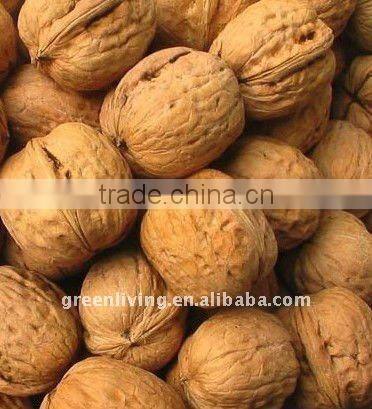 Fresh sweet walnut 2012 the lastest price