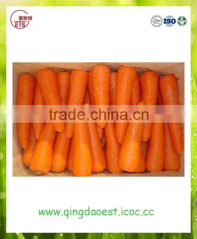 new crop high quality fresh broccoli for sale