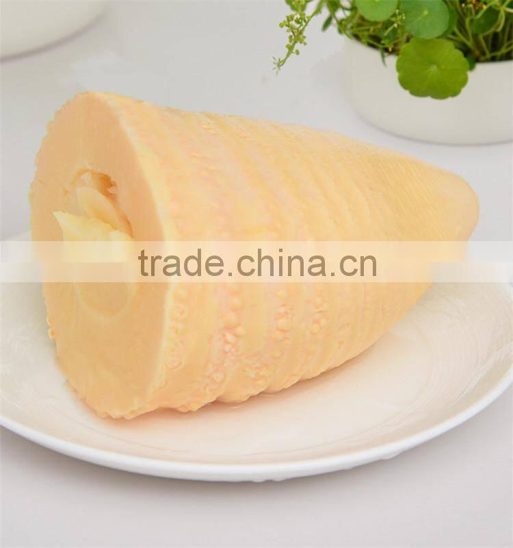 Healthy Cooking Canned Bamboo Shoot Sliced in Brine for Instant Food