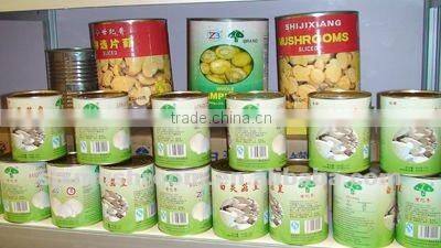 hot sales canned drumstick mushroom