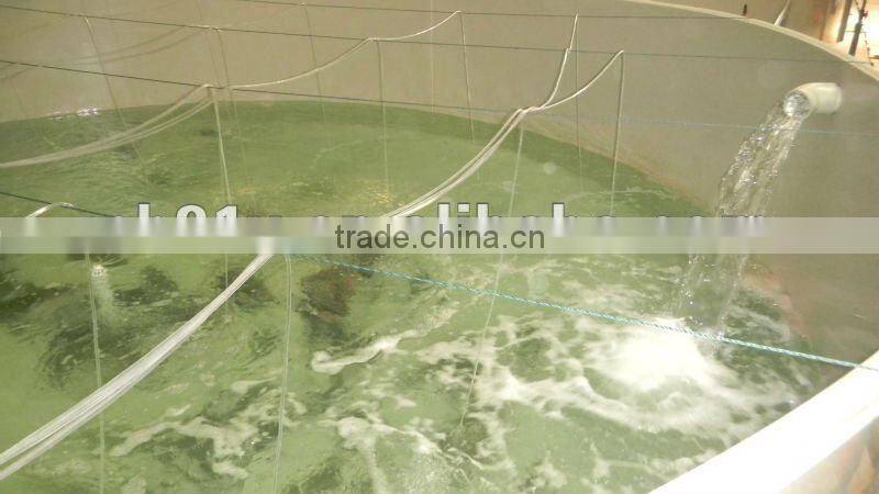 ozone generator with protein skimmer for fish farming water treatment