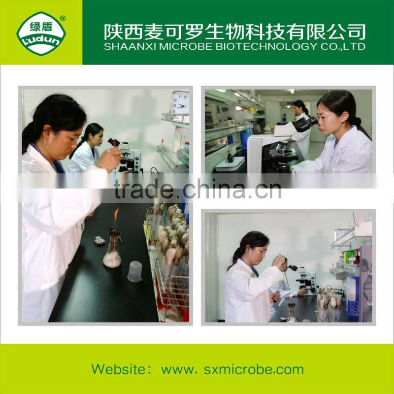 High quality fungicide kasugamycin 70% TC