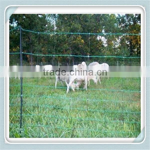 China Anping galvanized iron wire horse/sheep/cattle/deer/cow fence panel