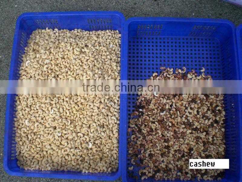 Belt Cashew Color Sorting Machine