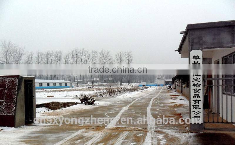 Dried Mealworm for Backyard Chicken with good price