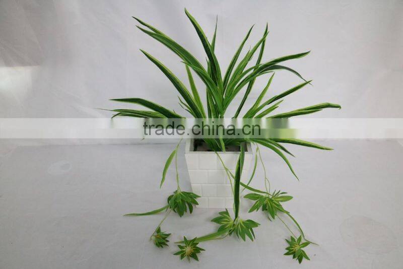 artificial white edge spider plant hanging spider plant