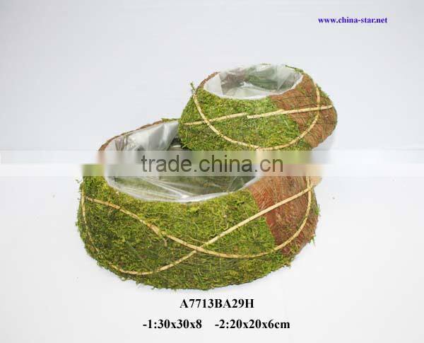 moss coco plantting pot