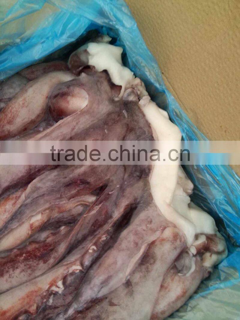 fishing boats,Frozen Giant Squid Tentacle