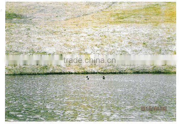 HOKKAIDO sapporo ski and golf land