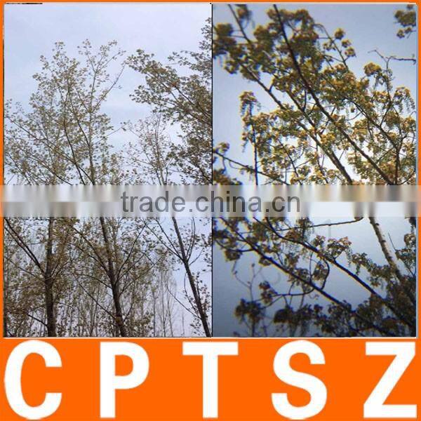 BR003 Universal 8X Zoom Phone Telephoto Camera Lens with Clip for Phone Samsung HTC Photography Accessory