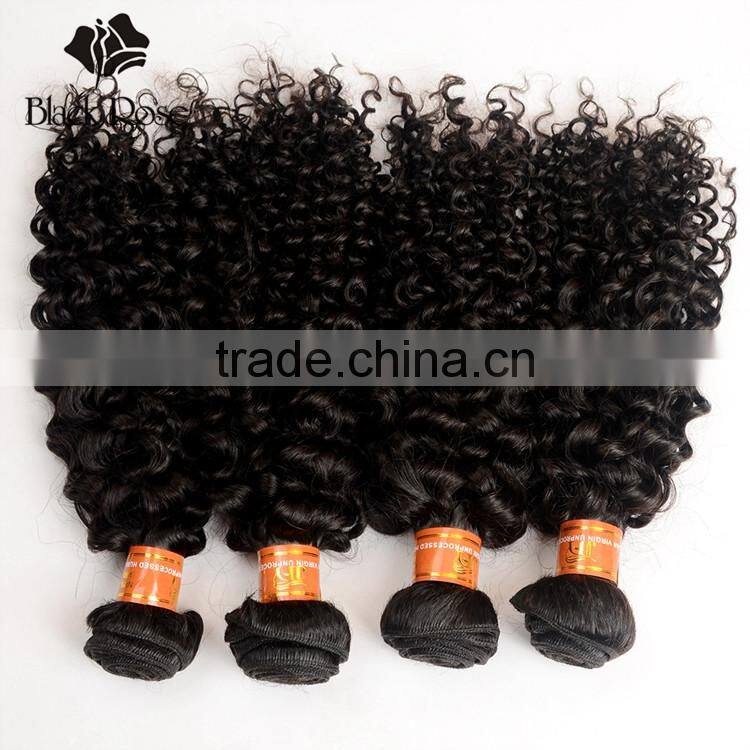 Black Rose Shengyuan Hair Factory Original Curly Indian Human Hair