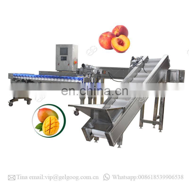 Automatic Onion Potato Sorting Machine Fruit Weight Grading Machine