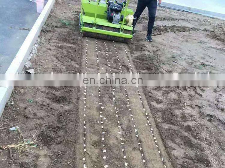 hand planter for garlic / Hand push garlic seeder / Garlic planting machine