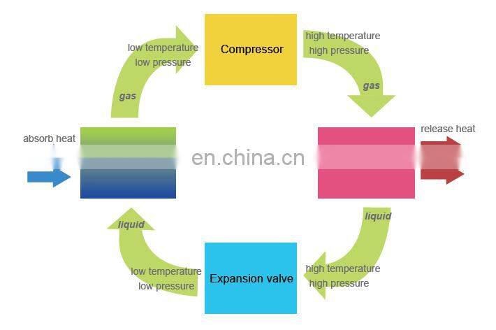 Phnix Energy Saving 75% heat pump dryer for drying herb fruit vegetable lemon dryer
