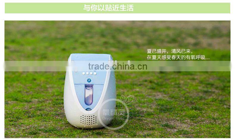 portable oxygen concentrator ZH-J10