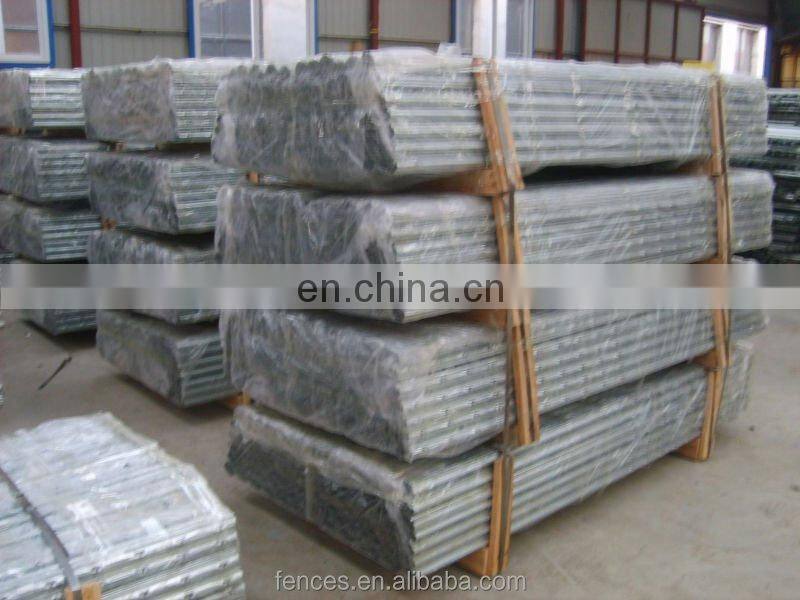 Raspberry Trellis Systems Plantations Vine Plants Trellis Post