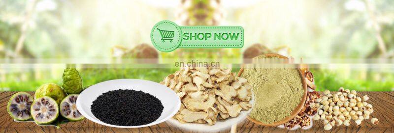 Wholesale Wild Natural Hand-picked High Quality Dried Bamboo Leaves From Vietnam