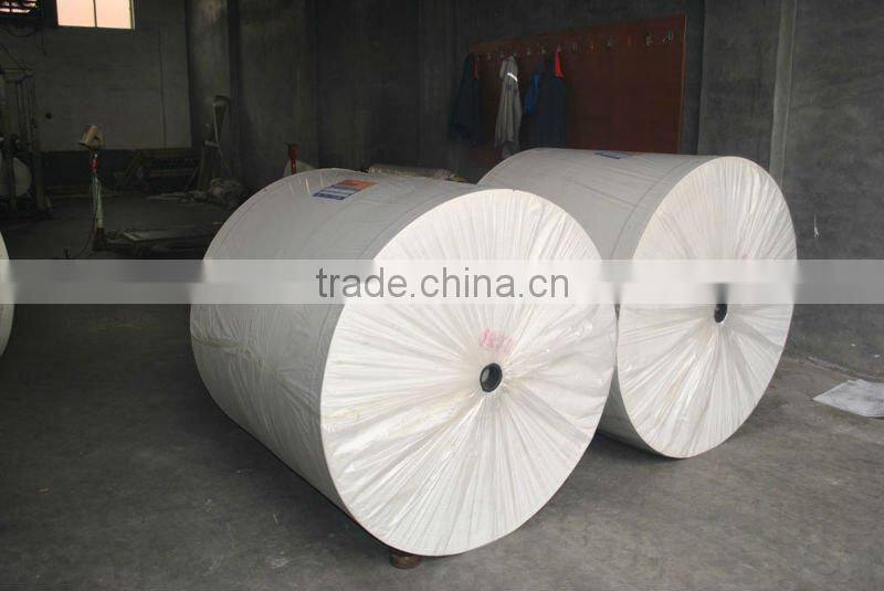 Spunbond needle punched polyester fiber felt