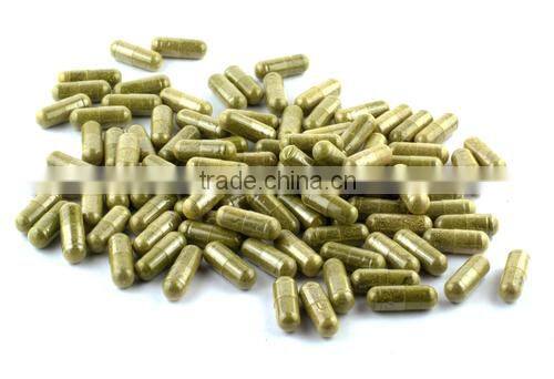 Best Selling Raw Material Moringa Powder