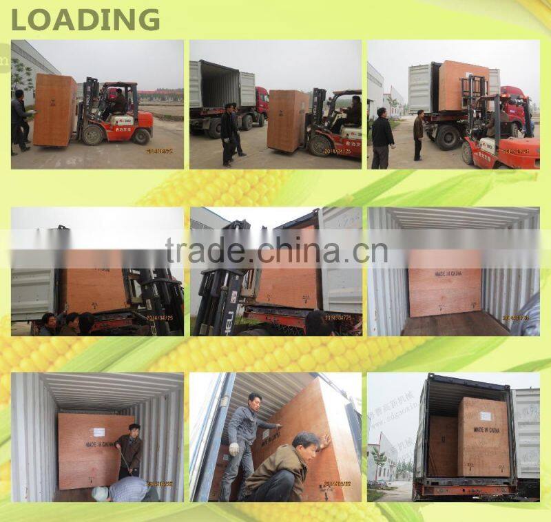 50 TPD maize milling machine plant/maize milling machine price from china