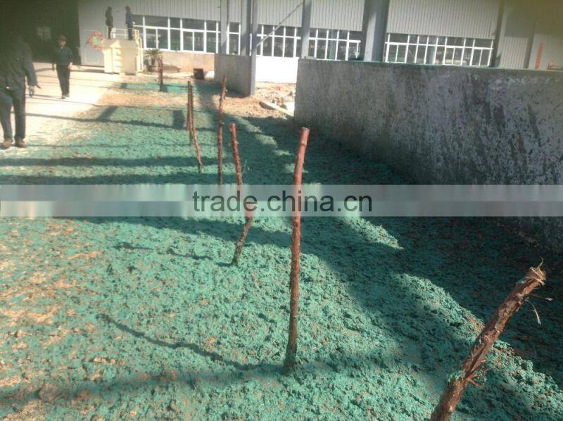 China small hydroseed supplies