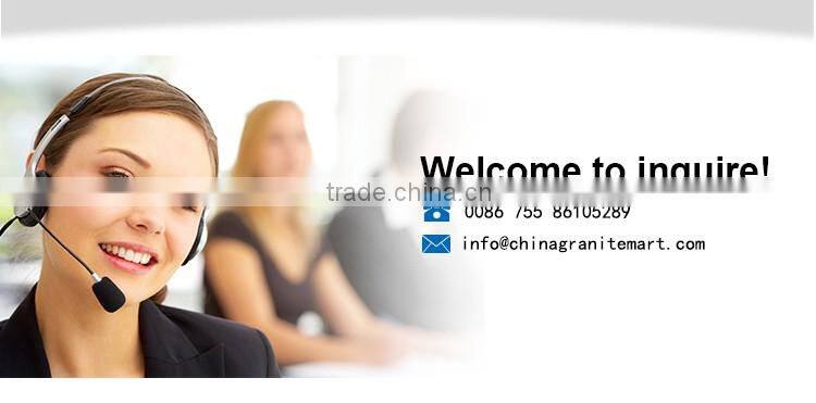 Bush Hammered 300 * 300mm Basalt Bricks For Paving