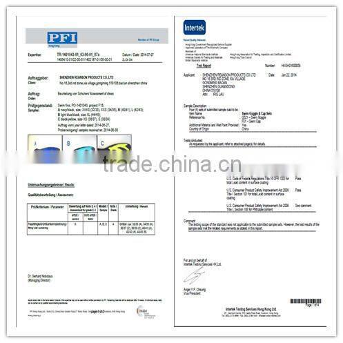 Latest Design Latex Free Diving Mask With The Best Price List