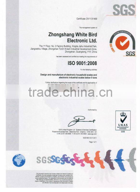 stainless steel SS weighing scale