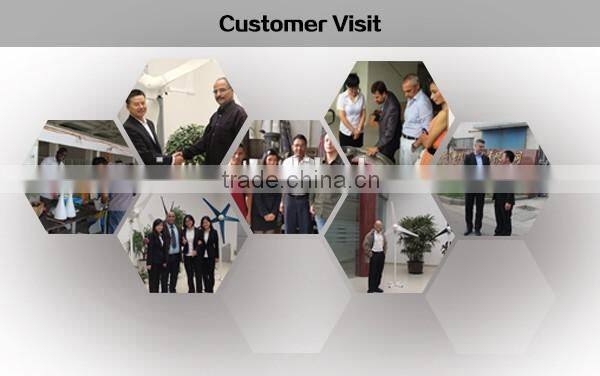 400w vertical 12v 24v new type wind generator